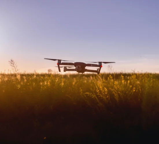 pexels-jeshootscom-442589