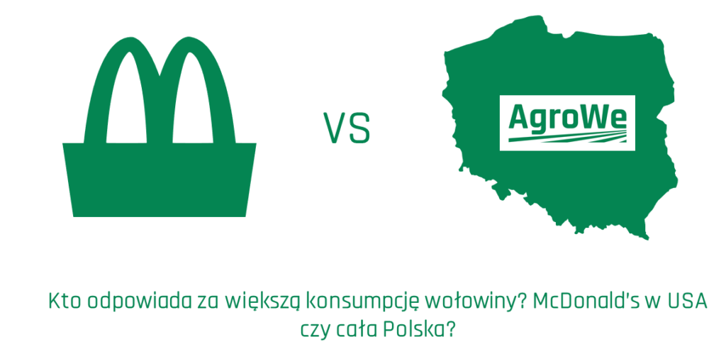 McDonald’s-Fast-food-slow-agriculture-frytki-burgery